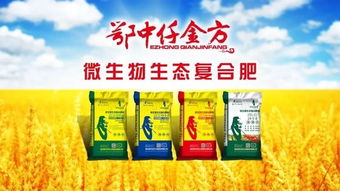 亩收入增加1000元 他决定将200亩莲藕全部换上这种肥料