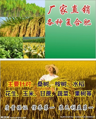 化肥名片设计图__名片卡片_广告设计_设计图库