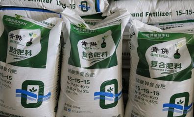 青岛市供销社:推广托管服务,50万亩土地由"保姆"来管