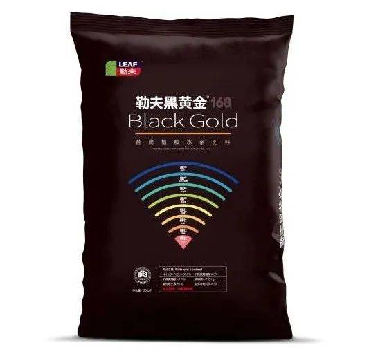 茄子为什么增产,一起看看李大哥用了什么肥料