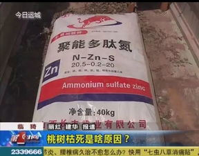 数百亩桃树干枯死亡啥原因 这样的肥料别买了