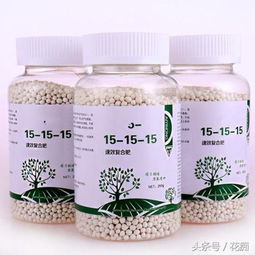养花中的各种肥料该如何使用