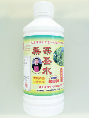 绿圣叶面肥助力桑茶高产优质——河北绿圣生物科技厂家直供