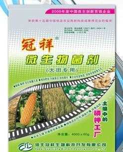 冠祥微生物菌剂 颗粒型微生物肥料在农业生产中的应用与优势