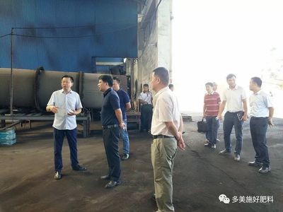 广西崇左市副市长陆辉赴广西公司调研指导肥料产业发展