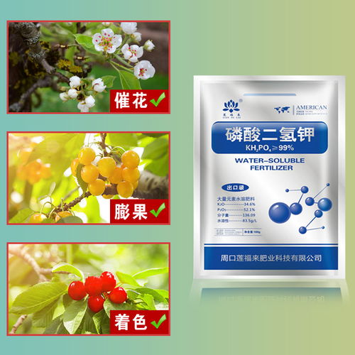 正品叶面肥 通用型花卉肥料，促花促果，家用大包装包邮首选